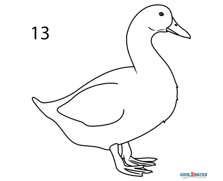 How to Draw a Duck (Step by Pictures)