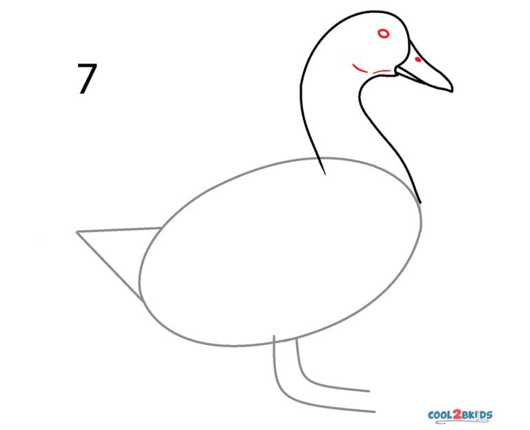 How To Draw A Duck (step By Pictures)