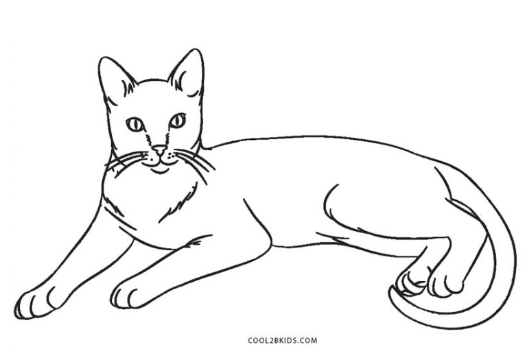 Dibujos de Gatos para colorear - Páginas para imprimir gratis