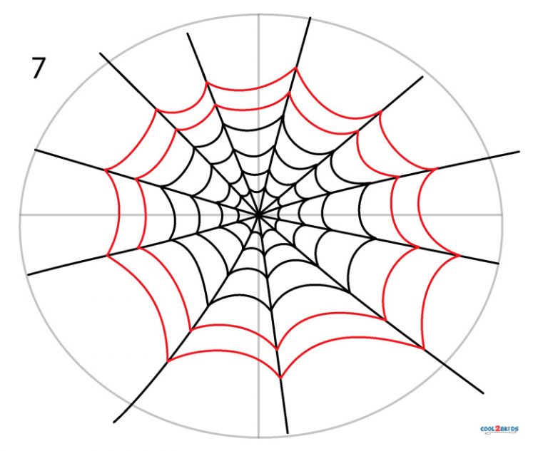 How to Draw a Spider Web (Step by Step Pictures)