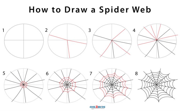 How to Draw a Spider Web (Step by Step Pictures)