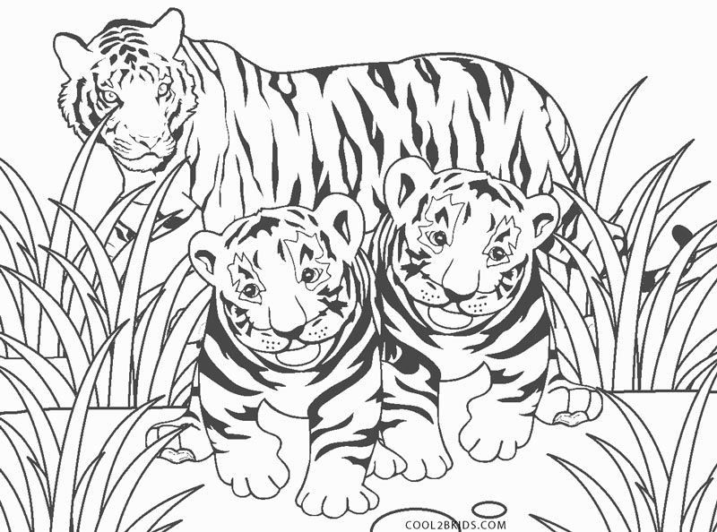 Tiger - Números y colores  Dibujos para colorear adultos, Colorear por  números, Páginas para colorear para imprimir