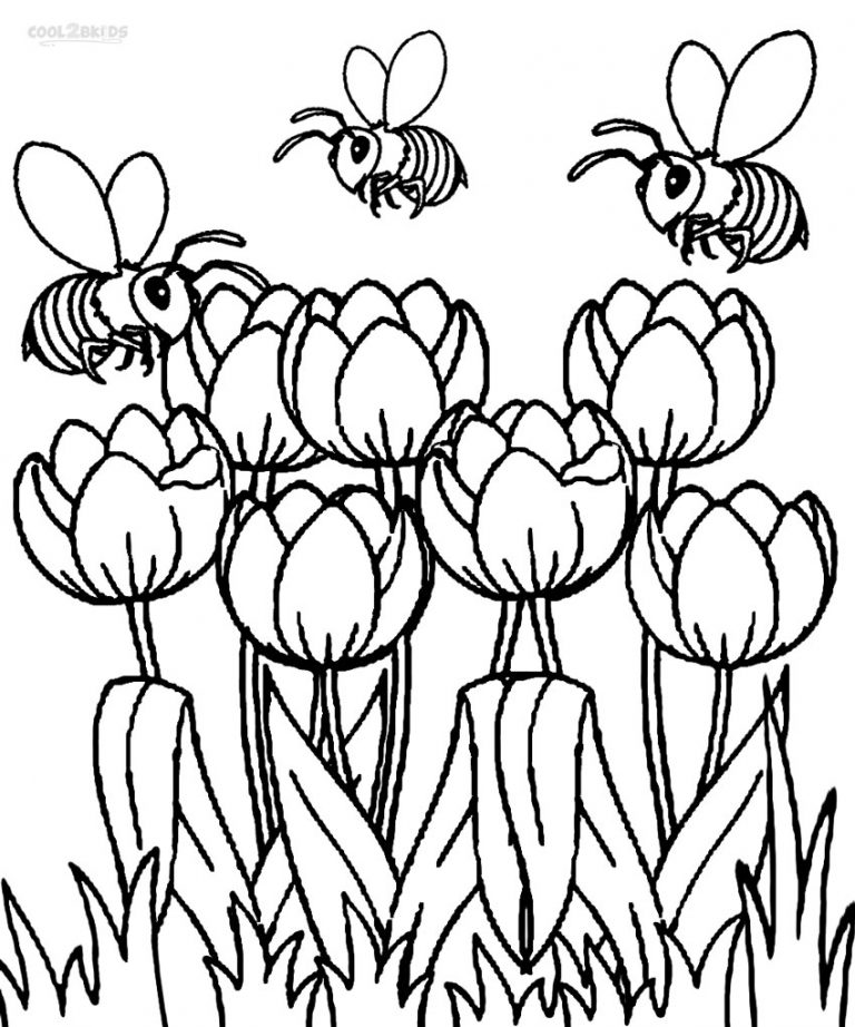 Dibujo de Tulipanes para colorear - Páginas para imprimir gratis