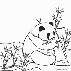 Dibujos de Panda para colorear - Páginas para imprimir gratis