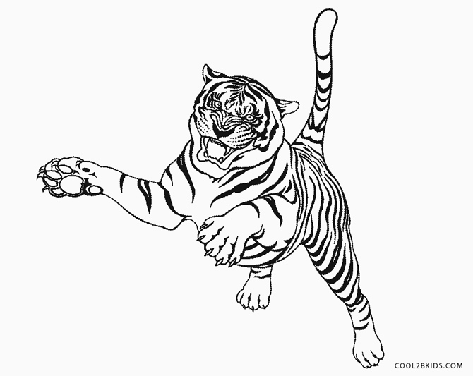Dibujos De Tigres Para Colorear Y Pintar Imprimir Dibujos De Tigres