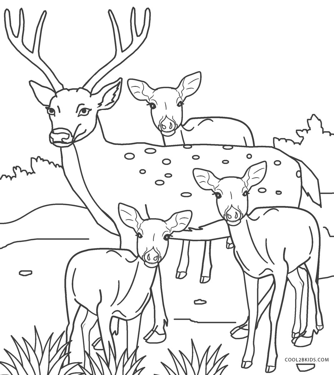 Coloring Pages Of Realistic Deer - Red deer coloring pages download and