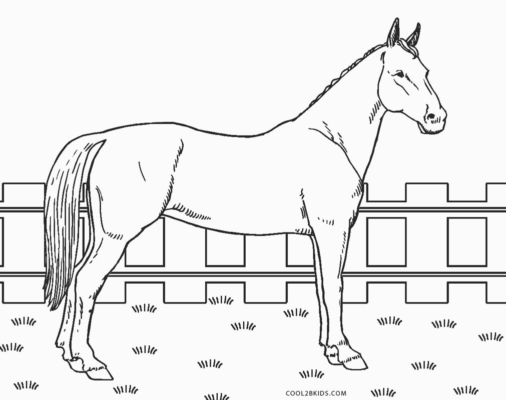 Desenhos para colorir de cavalo e cavalo de sela - Desenhos para colorir  gratuitos para imprimir