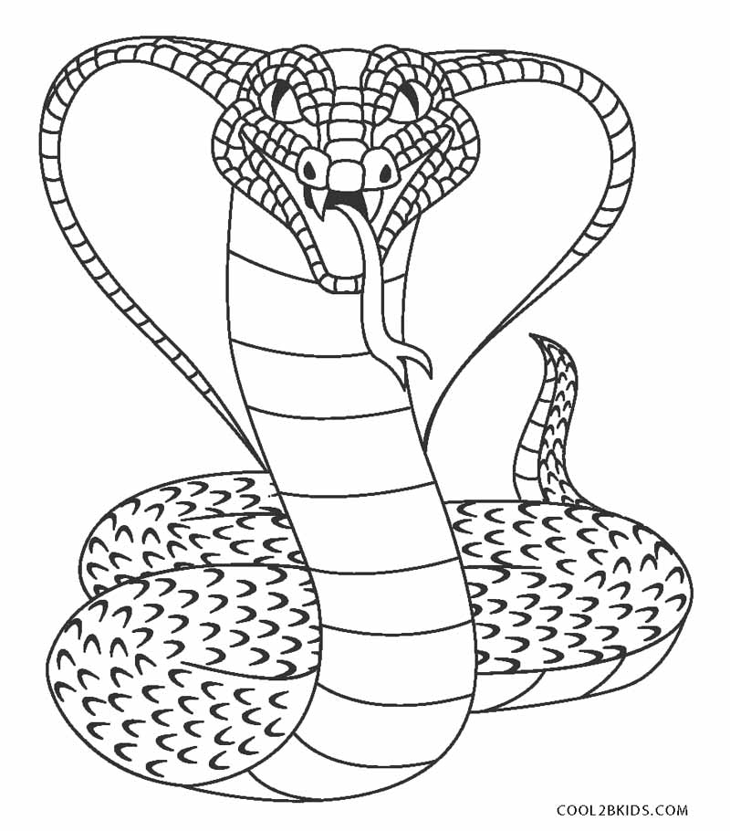 Desenho de Cobra grande para colorir - Tudodesenhos