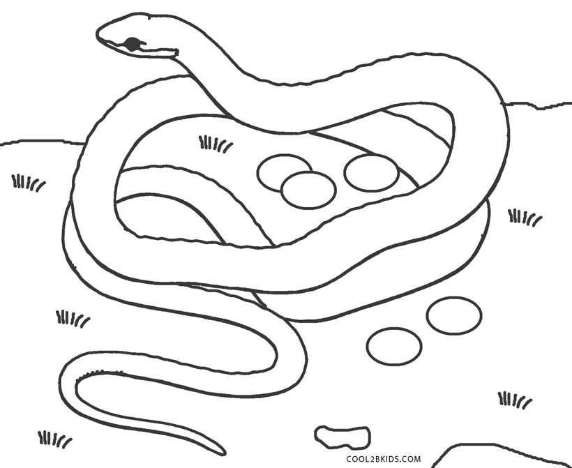 Desenhos de Cobra para colorir - Páginas para impressão grátis