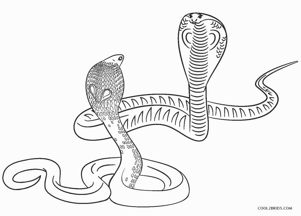Desenho Para Colorir cobra - Imagens Grátis Para Imprimir - img 18149
