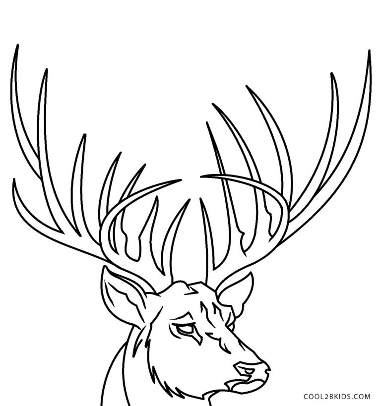 Free Printable Deer Coloring Pages For Kids Cool2bKids