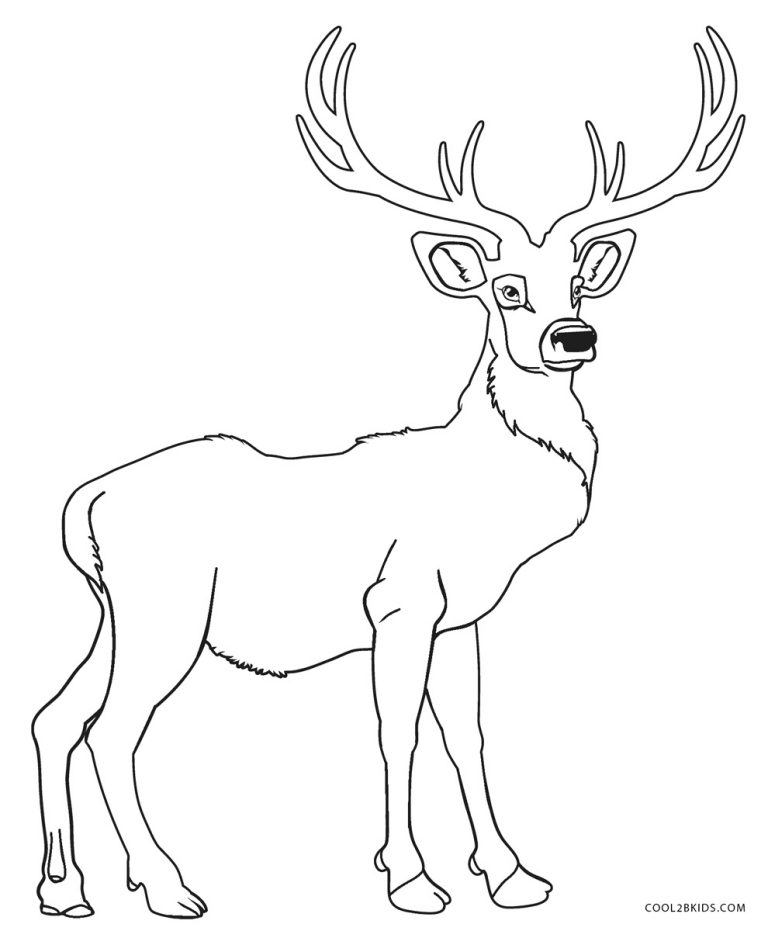 Free Printable Deer Coloring Pages For Kids - Cool2bKids