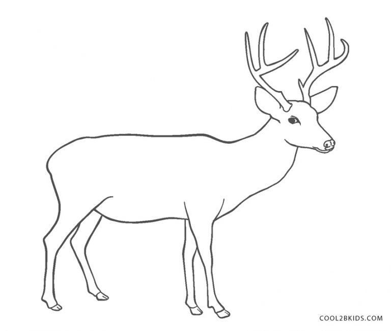 Free Printable Deer Coloring Pages For Kids - Cool2bKids