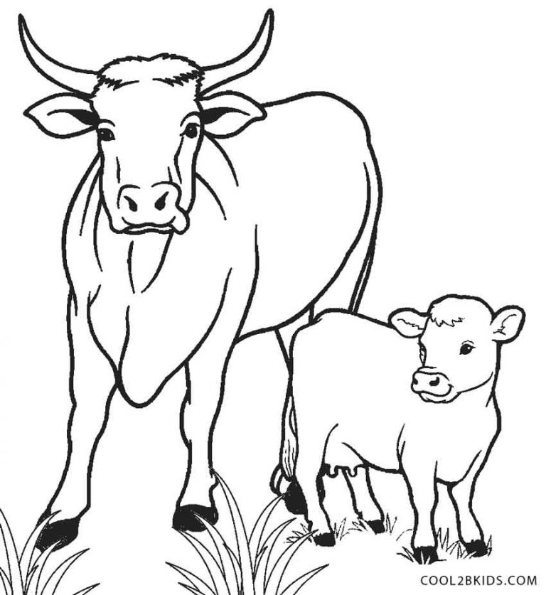 Desenhos de Vaca para colorir - Páginas para impressão grátis