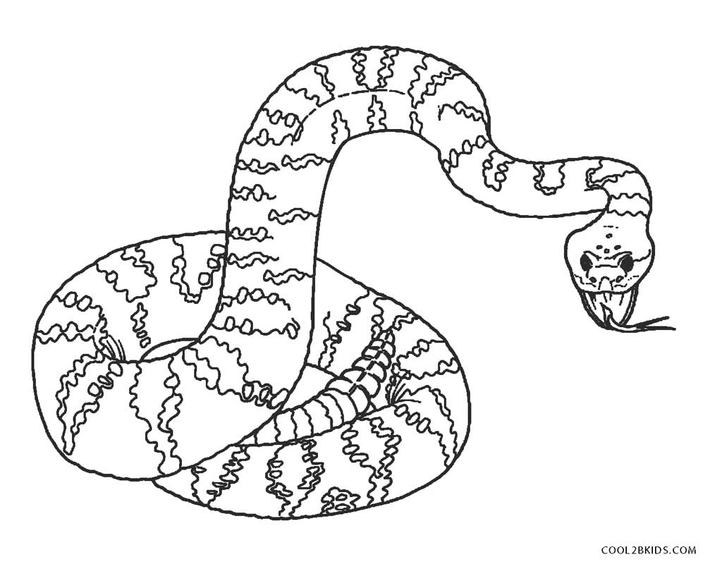 Desenhos de Cobra para colorir - Bora Colorir