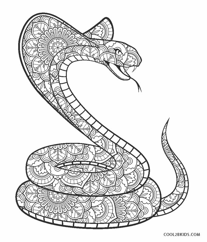 Cobra para Colorir  Desenho de cobra, Mandalas para colorir