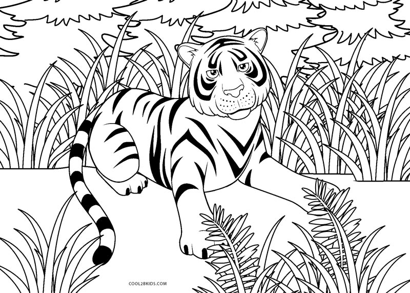 Desenhos de Tigres Bonitos para Colorir - Gratuitos, Imprimíveis e