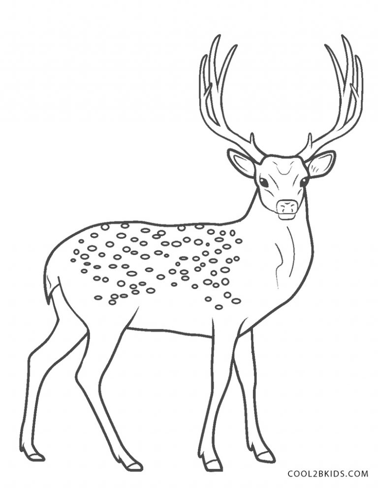 Free Printable Deer Coloring Pages For Kids - Cool2bKids