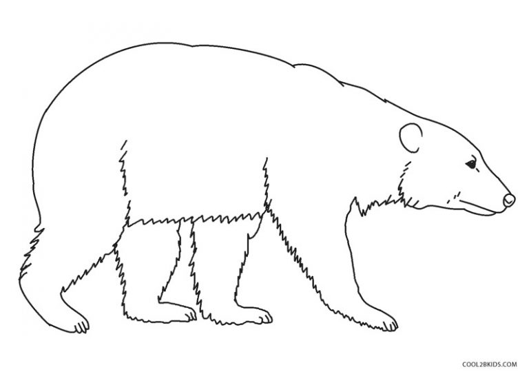 Free Printable Bear Coloring Pages For Kids