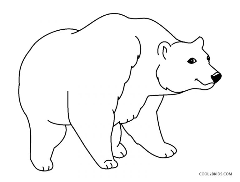 6100 Grizzly Bear Coloring Pages Free  Latest Free