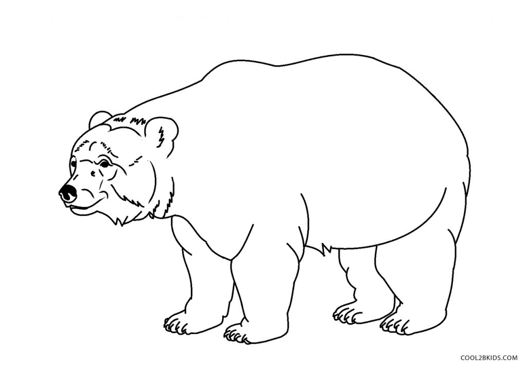 Free Printable Bear Coloring Pages For Kids