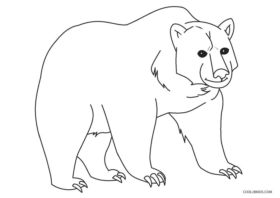 Bears coloring pages » Free & Printable » Bear coloring sheets