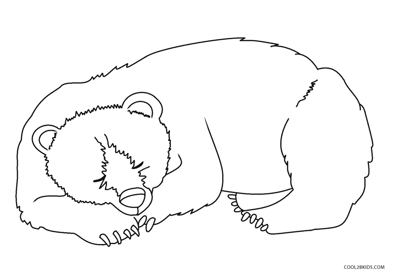 sleeping bear coloring page