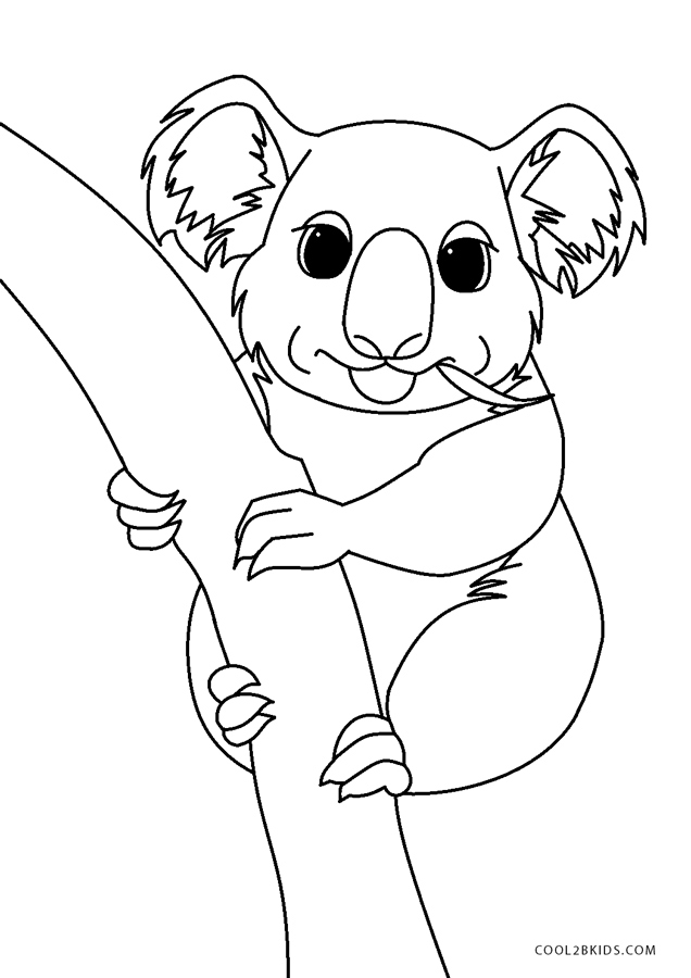 Printable Koala Coloring Pages - Printable World Holiday