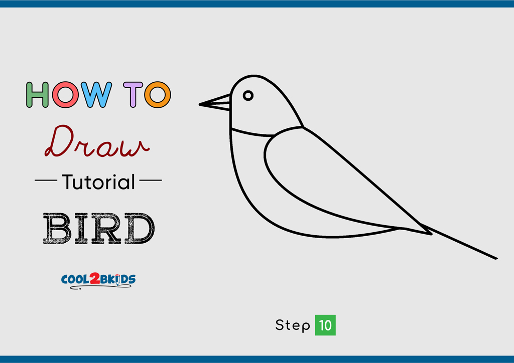 How to Draw a Bird - Cool2bKids