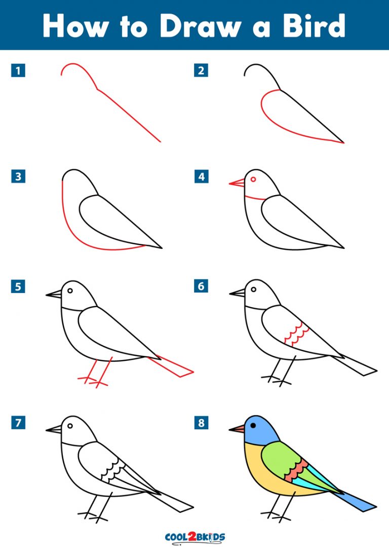 how-to-draw-a-flying-bird-for-kids-animals-for-kids-step-by-step