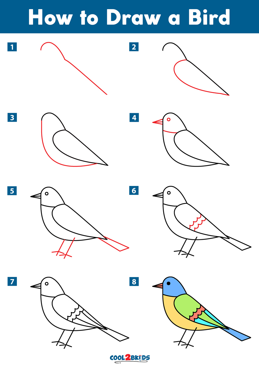how to draw a bird