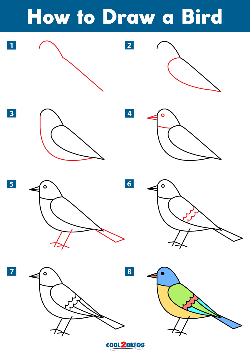 How To Draw A Bird Cool2bKids