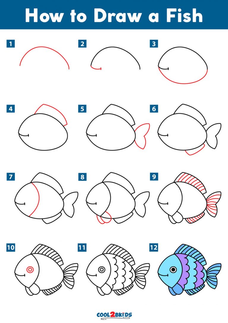 step-by-step fish drawing tutorial