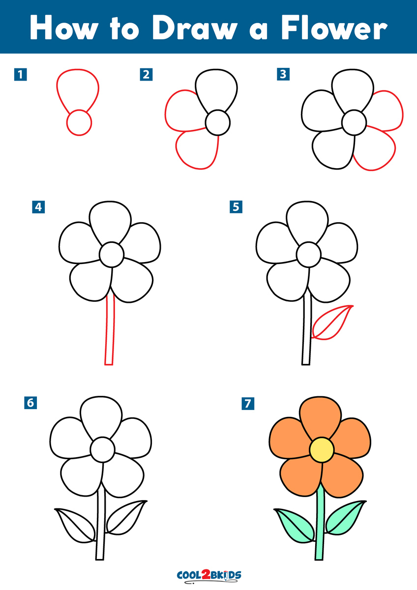 Step by step tutorial on drawing a flower