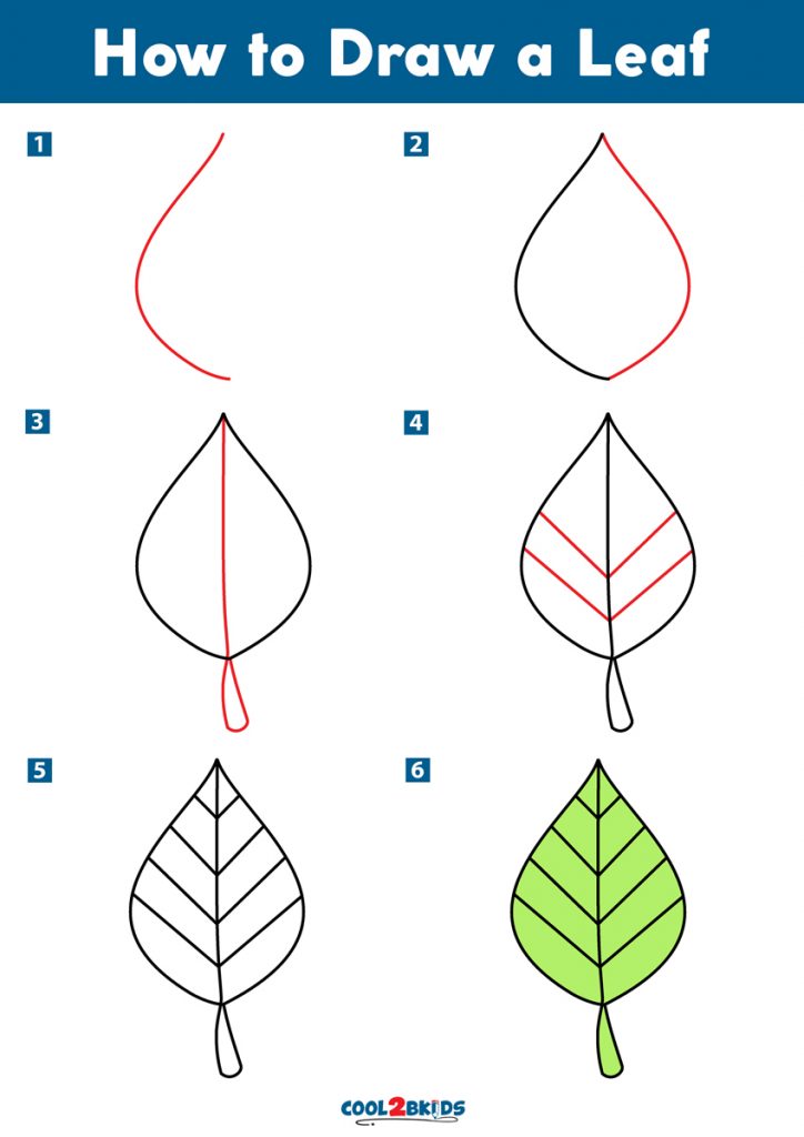 How To Draw A Leaf Cool2bKids