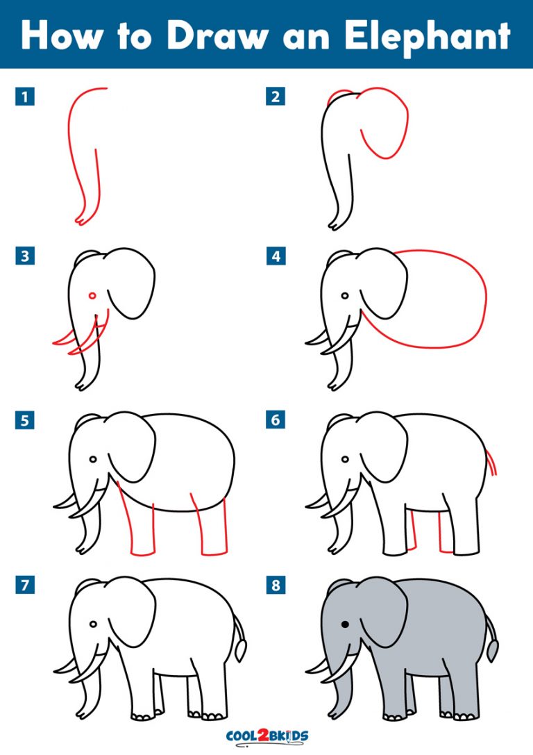 How To Draw An Easy Elephant Step By Step Safari Anim - vrogue.co