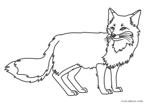 fox coloring pages