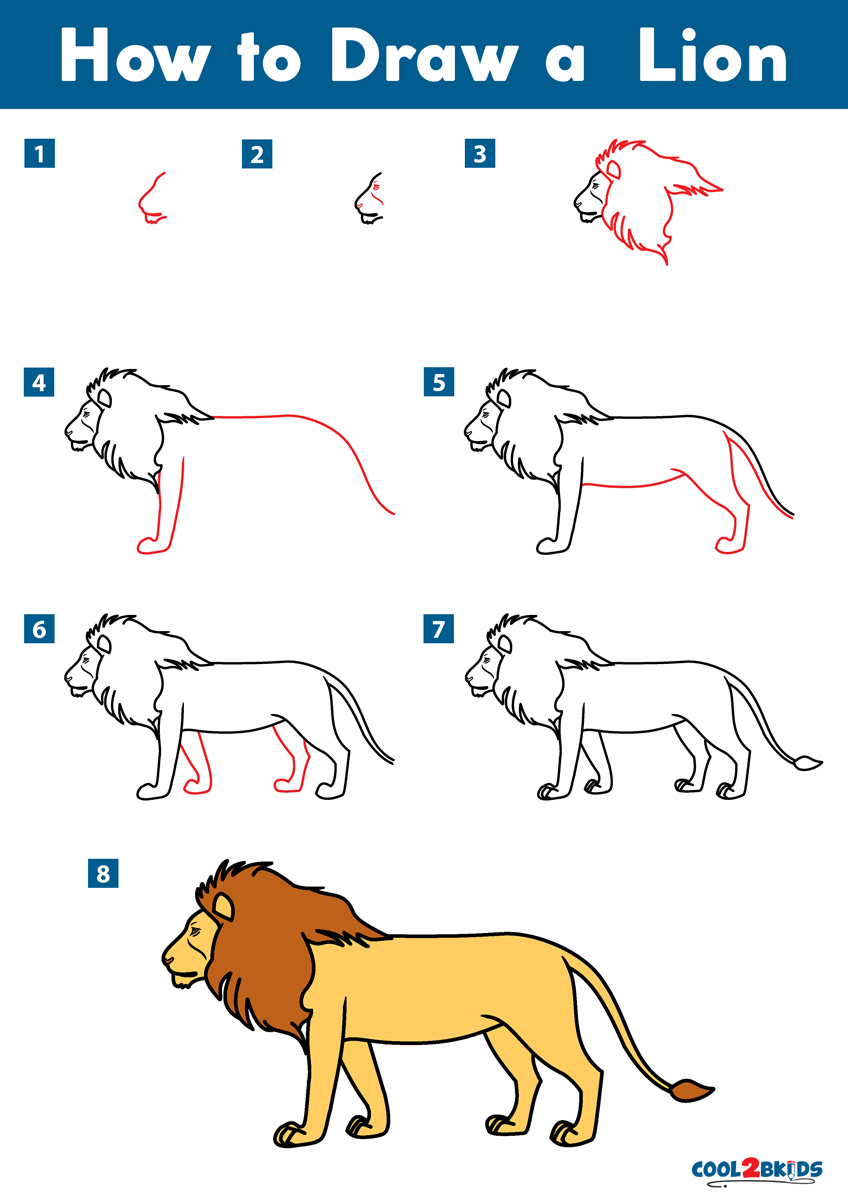 How To Draw A Lion Easy Step By Step Lion Drawing - Design Talk