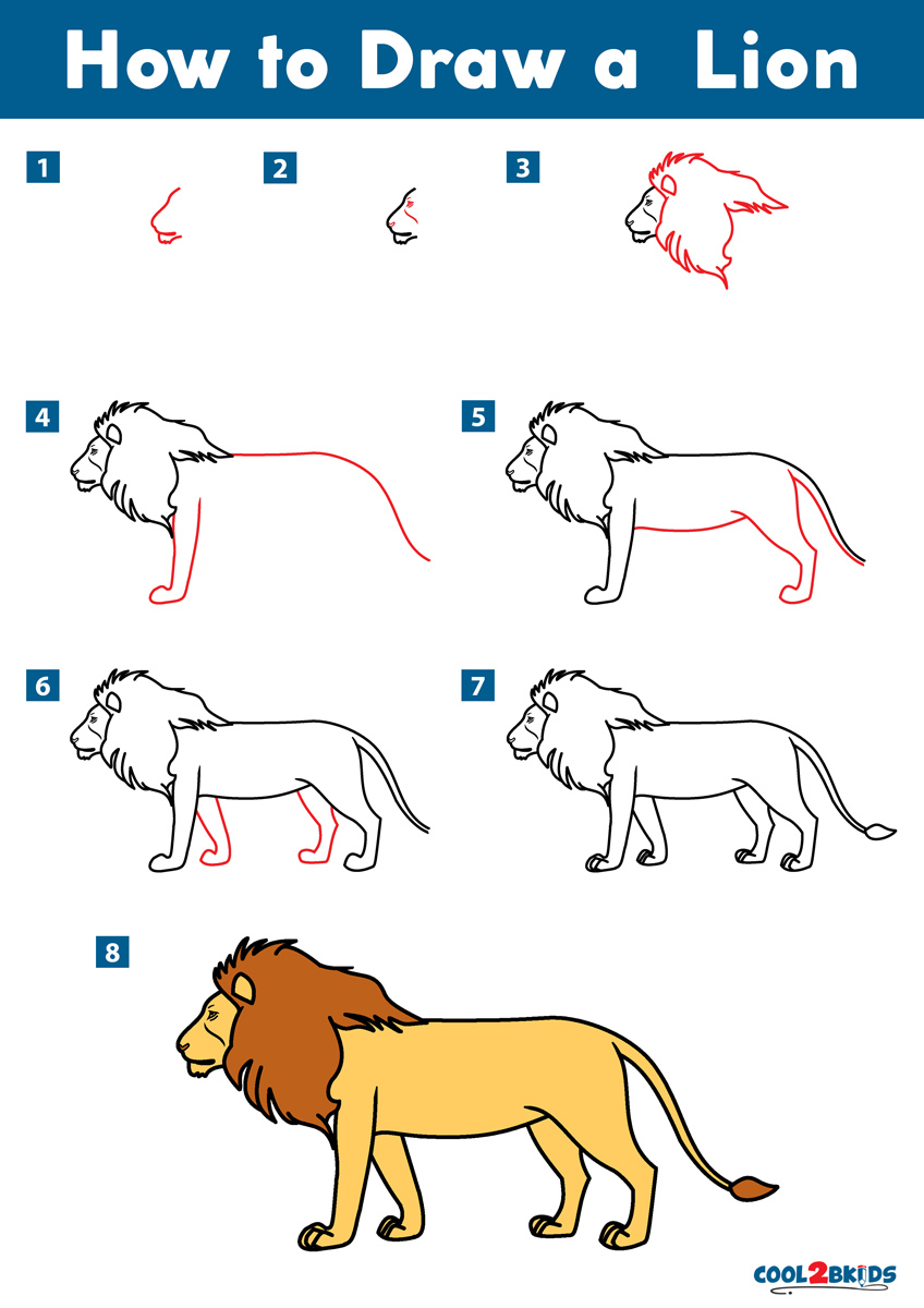 How To Draw A Lion Cool2bKids