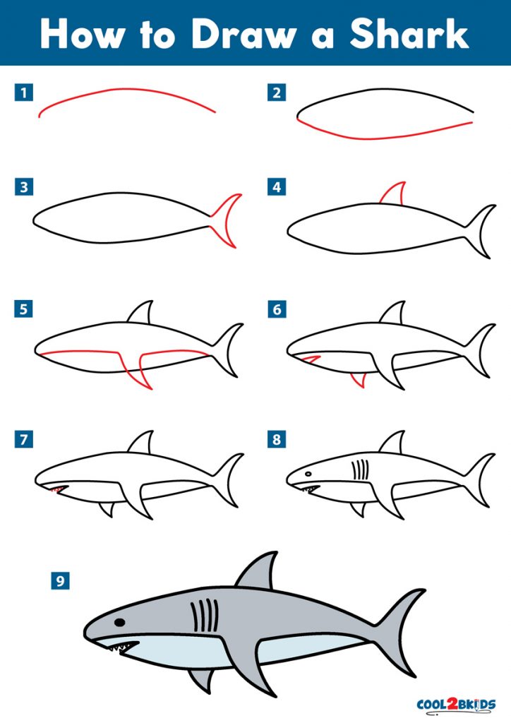 How to Draw a Shark - Cool2bKids