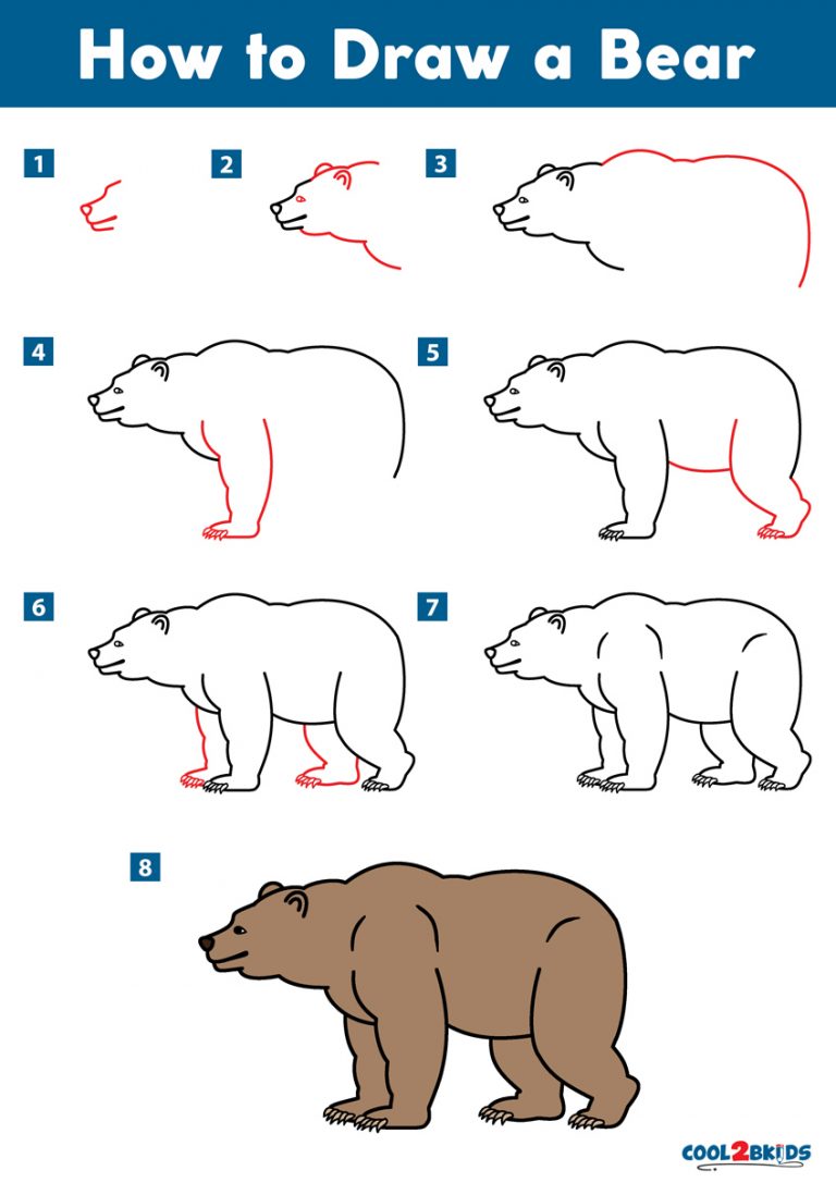  How To Draw Bear of all time Check it out now 