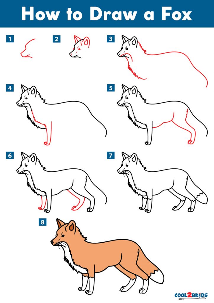 How to Draw a Fox Cool2bKids