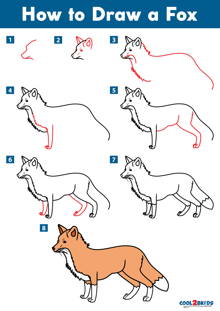 How To Draw A Red Fox Step By Step Light sketch in the head for easy