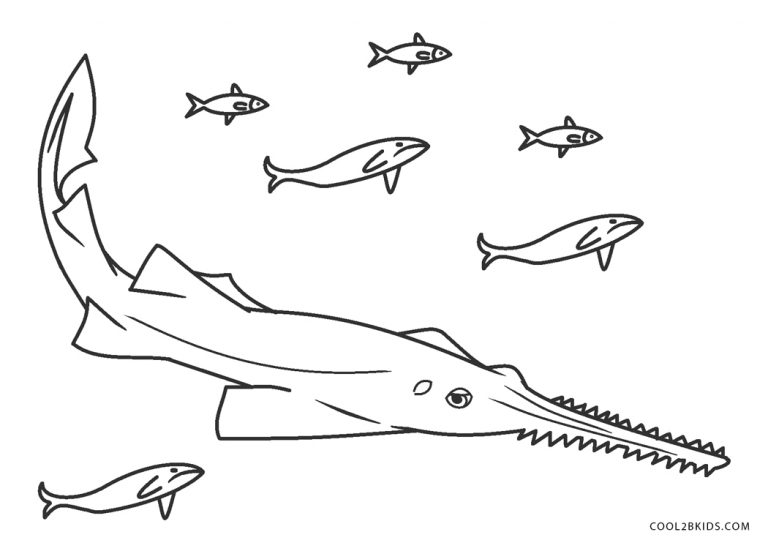 Free Printable Shark Coloring Pages For Kids