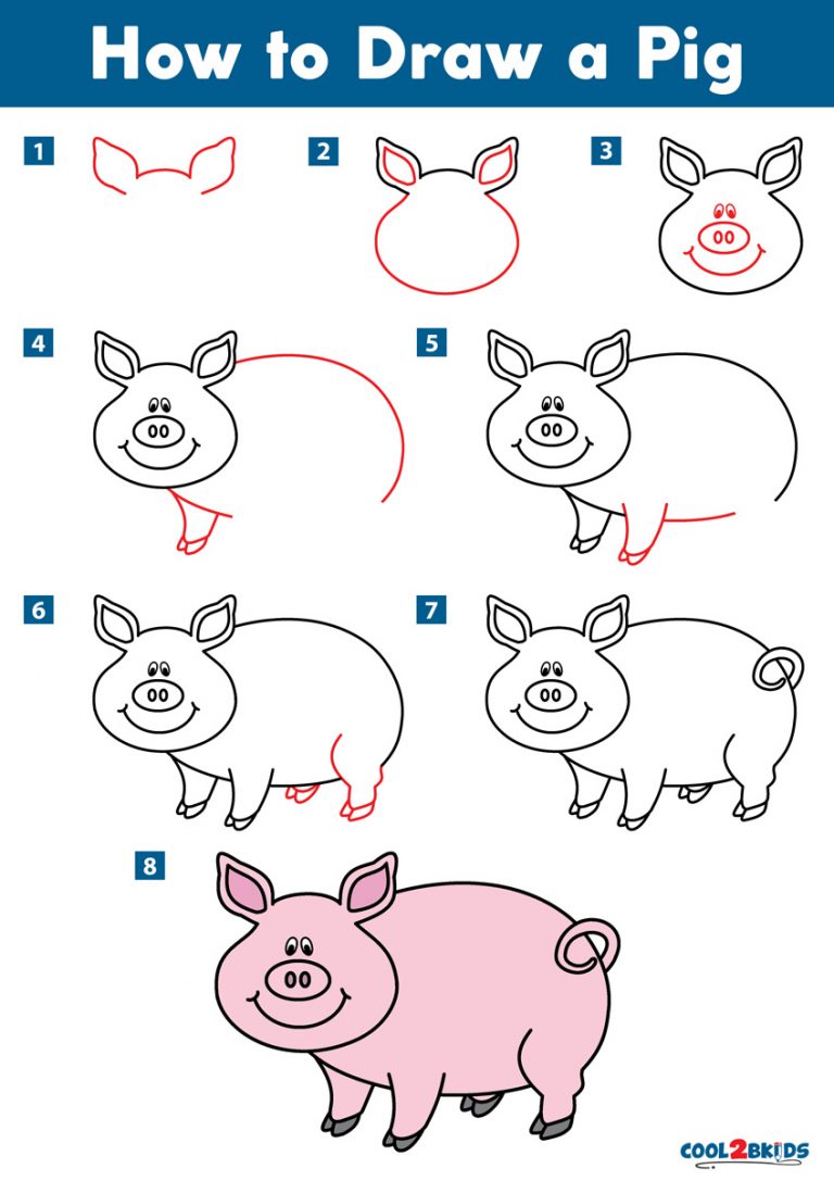 How to Draw a Pig Cool2bKids