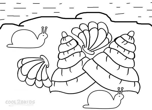 Coloriages Coquillage Coloriages Gratuits A Imprimer