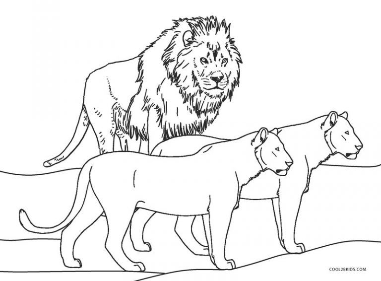 Coloriages  Lion  Coloriages Gratuits à Imprimer