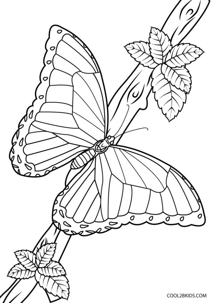 Coloriages - Papillon - Coloriages Gratuits à Imprimer