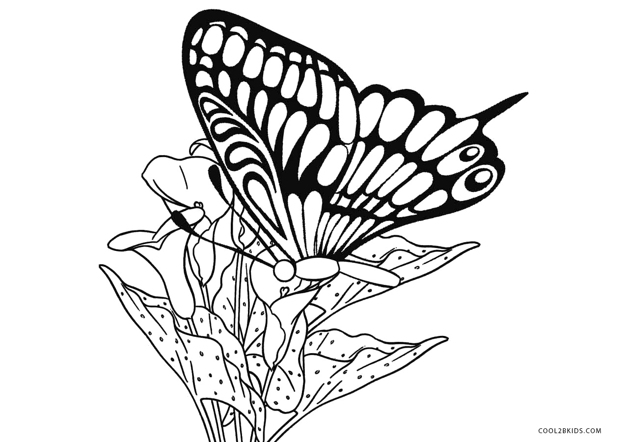 Coloriages  Papillon  Coloriages Gratuits à Imprimer