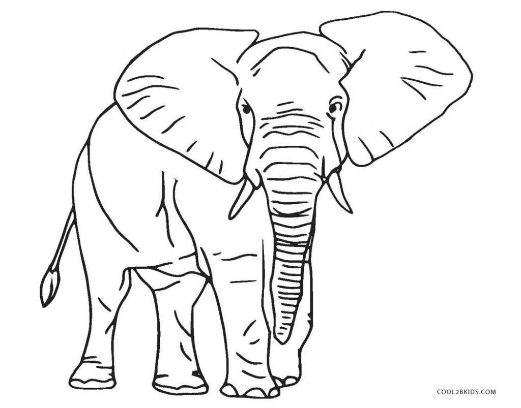 Coloriages  Eléphant  Coloriages Gratuits à Imprimer